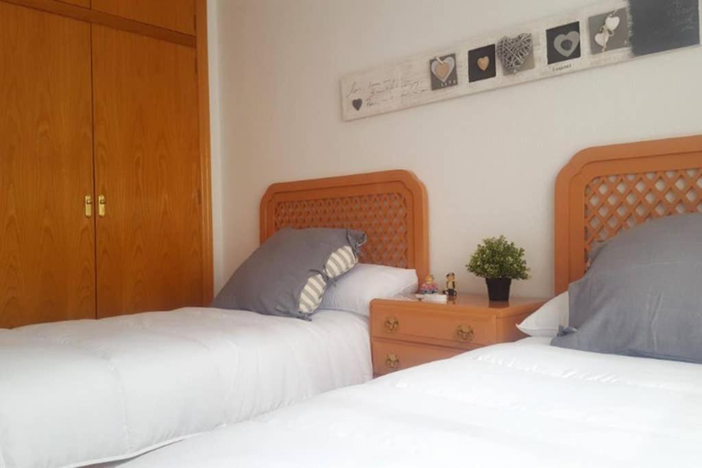 דירות אליקאנטה Encantador Apartamento En El Centro מראה חיצוני תמונה